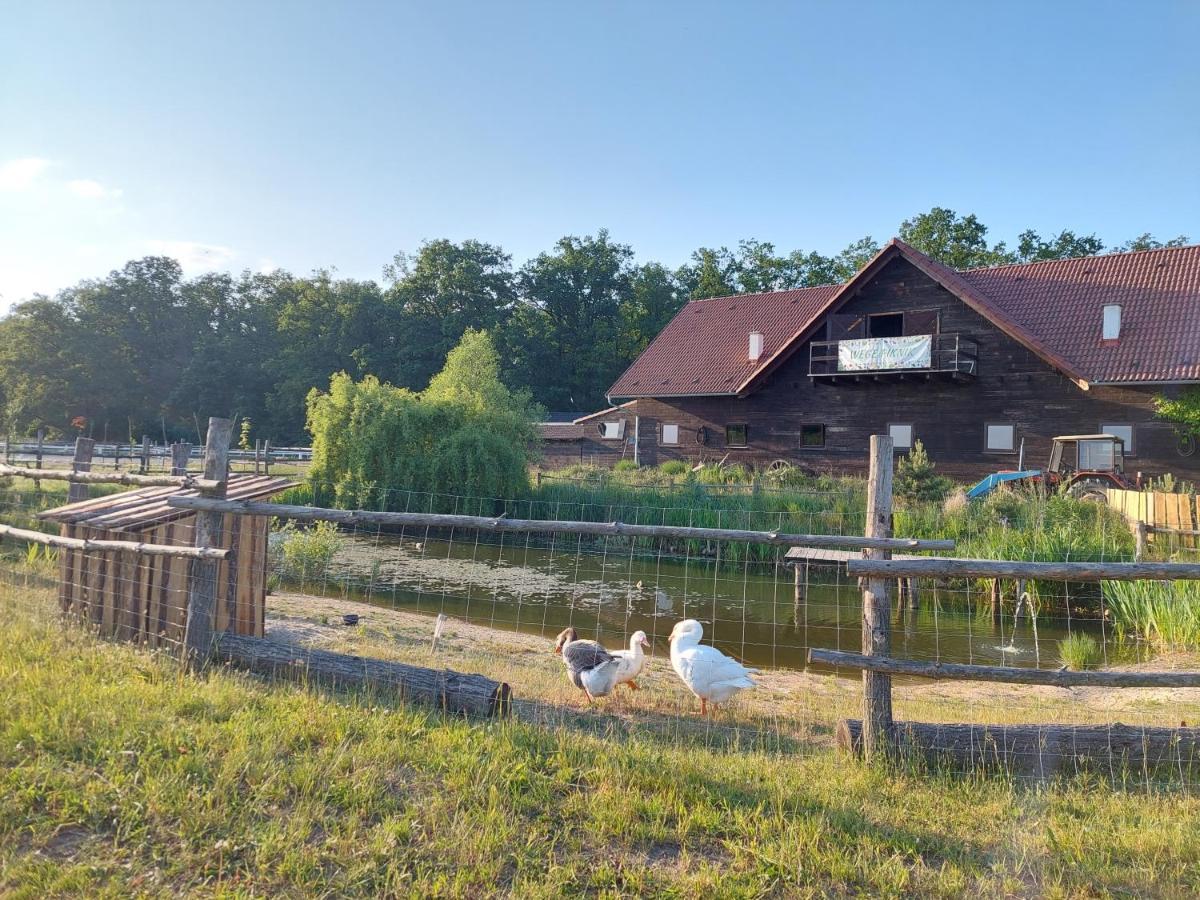 Отель Stajnia Karczow Экстерьер фото